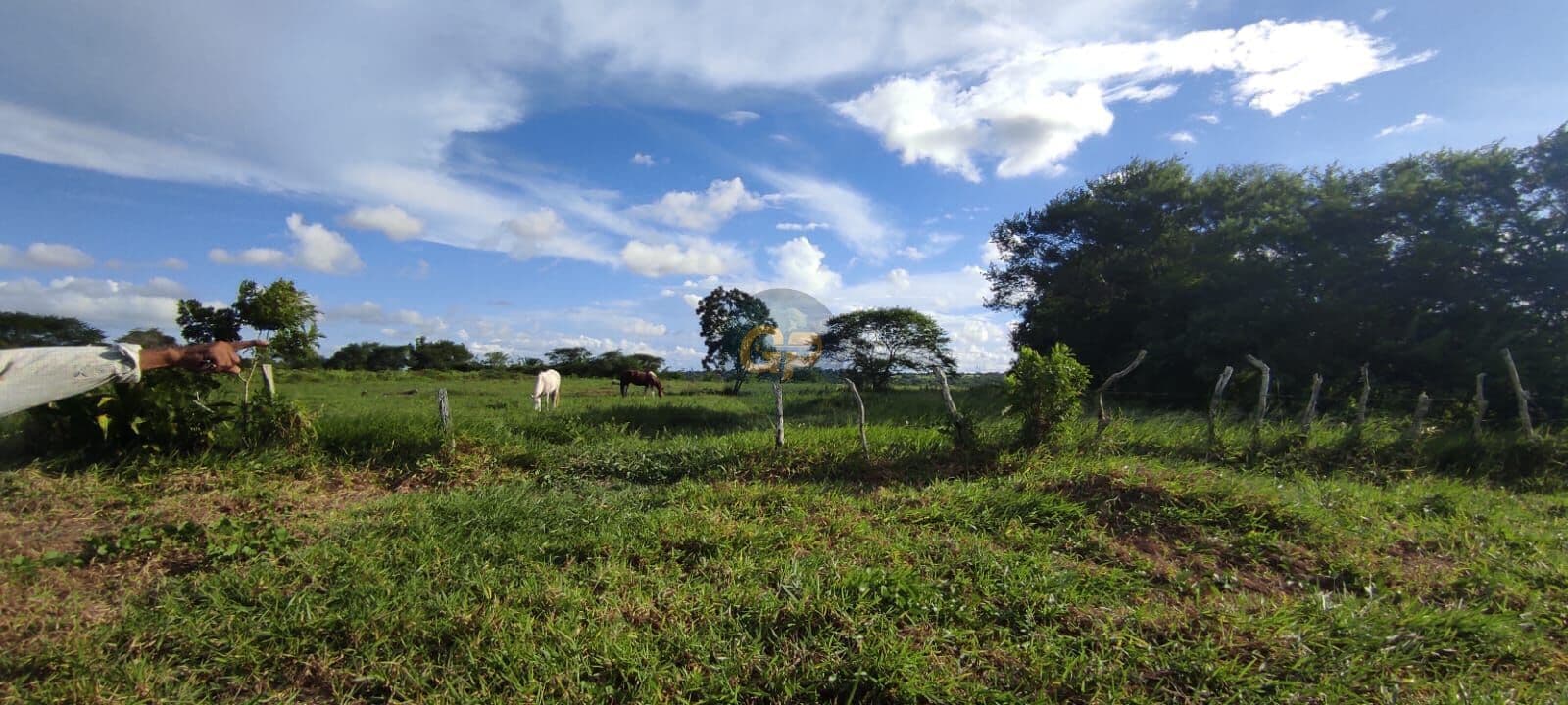 Lote/Terreno em São Gonçalo dos Campos - Zona Rural