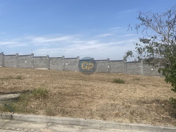 Lote/Terreno em Feira de Santana - Nova Esperança