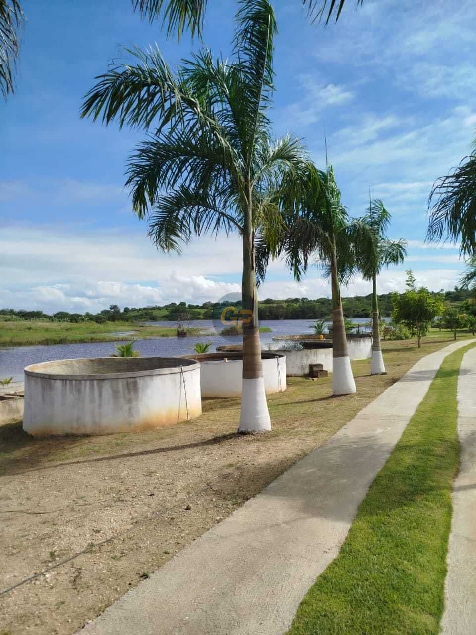 Fazenda/Sítios/Chácaras em Coração de Maria - Centro