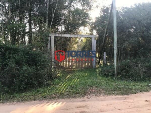 Sítio Com 2 Hectares Passo Da Areia Viamão