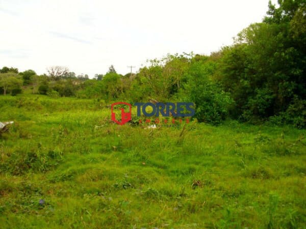 Excelente Área As Margens da RS 040