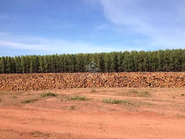 Fazenda em MT