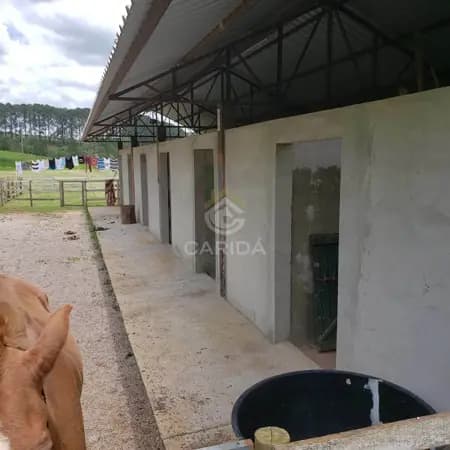 Sitio a venda Atibaia