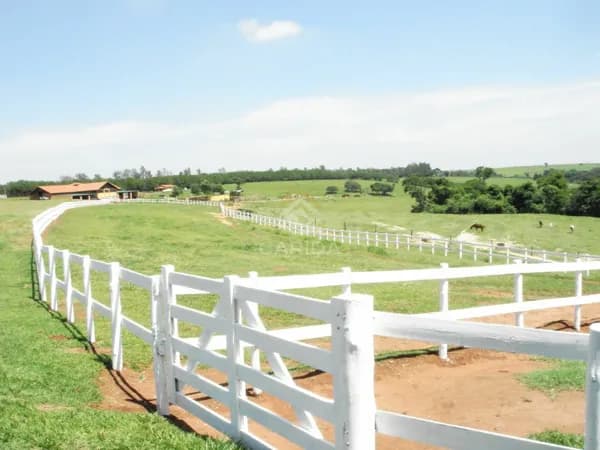Haras Porto Feliz SP