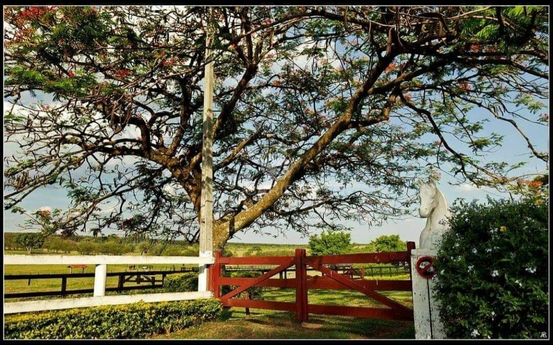 Haras Bauru