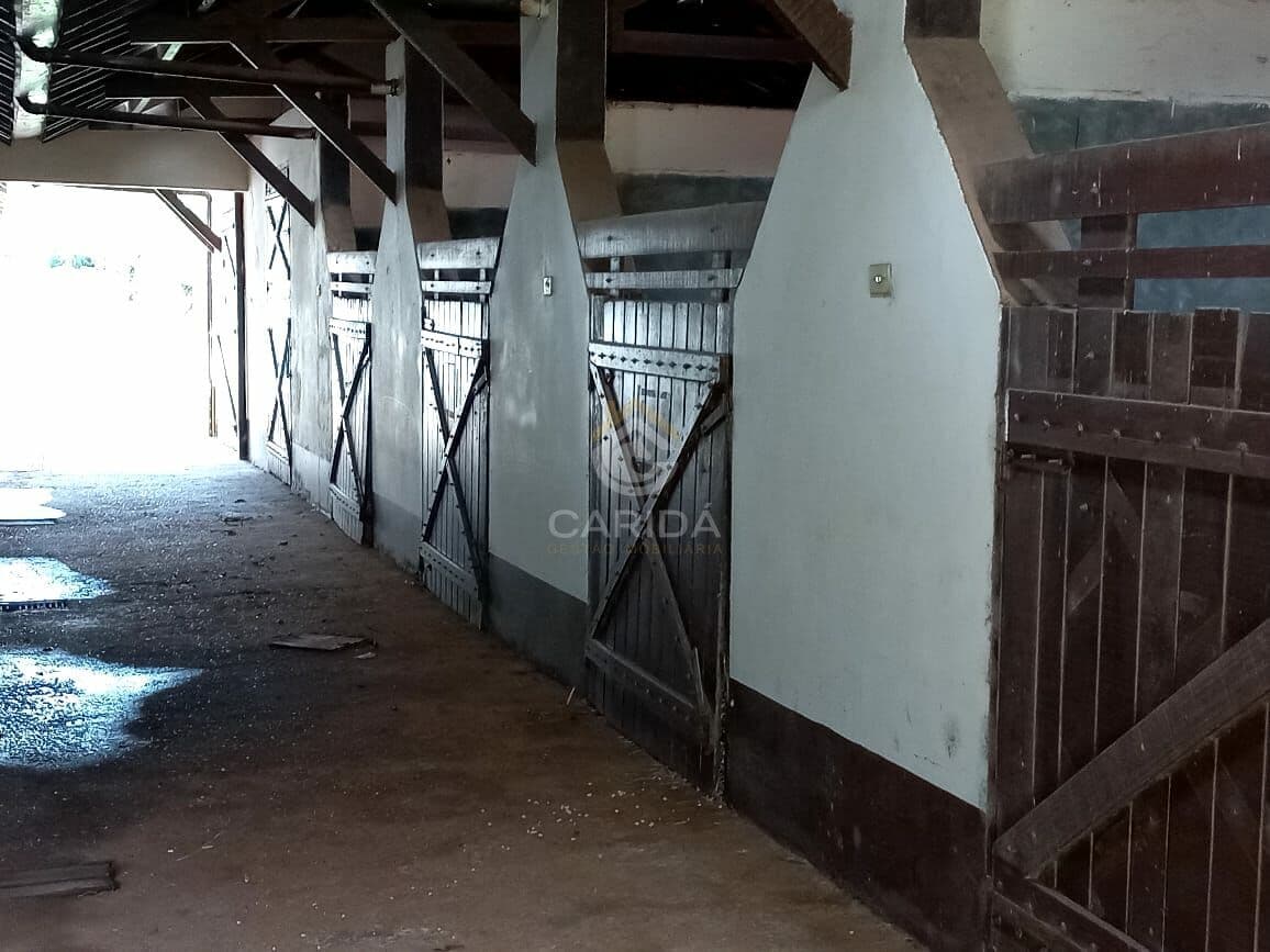 Haras Tatui