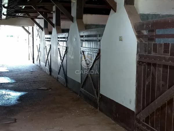 Haras Tatui