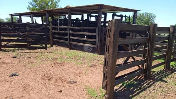 Fazenda Ribas do Rio Pardo MS