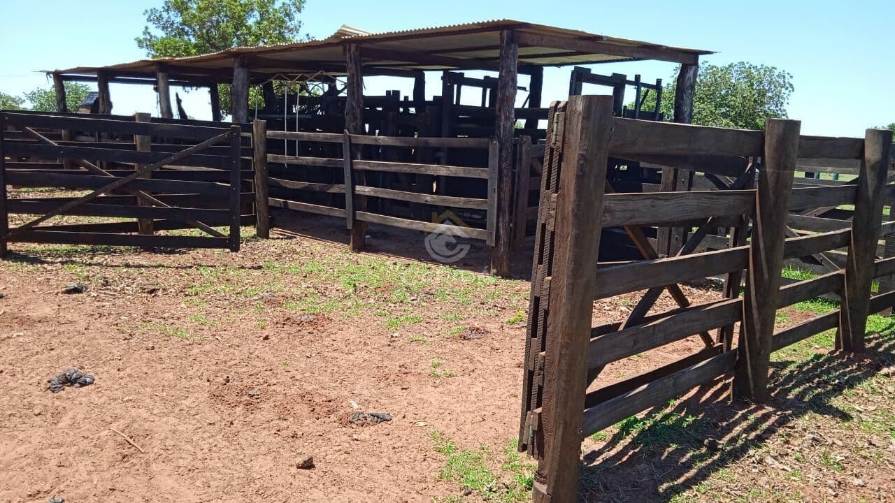 Fazenda Ribas do Rio Pardo MS