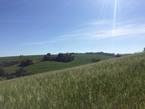 Fazenda à venda em Itapetininga/SP