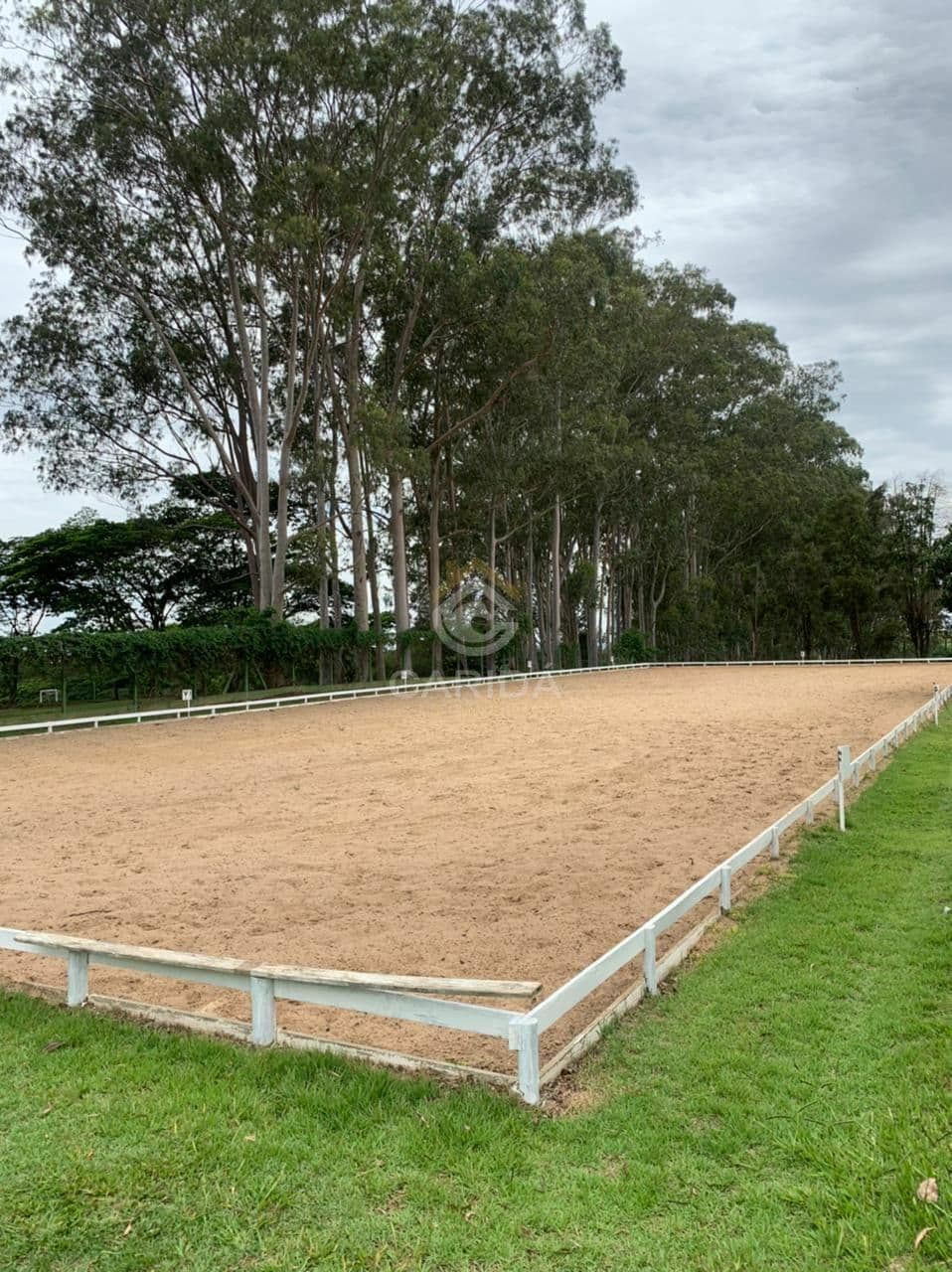 Haras na Farm