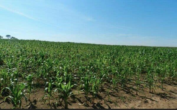Fazenda à venda em Quadra/SP
