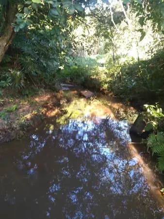 Sitio a venda Cabreuva