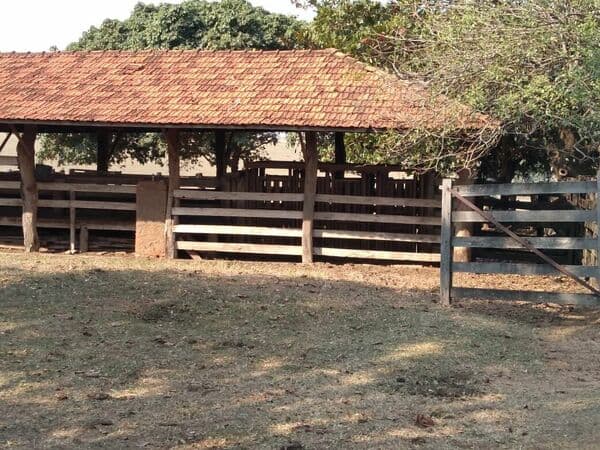 Fazenda à venda em Presidente Venceslau/SP
