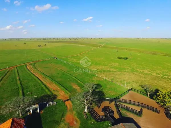 Fazenda a venda