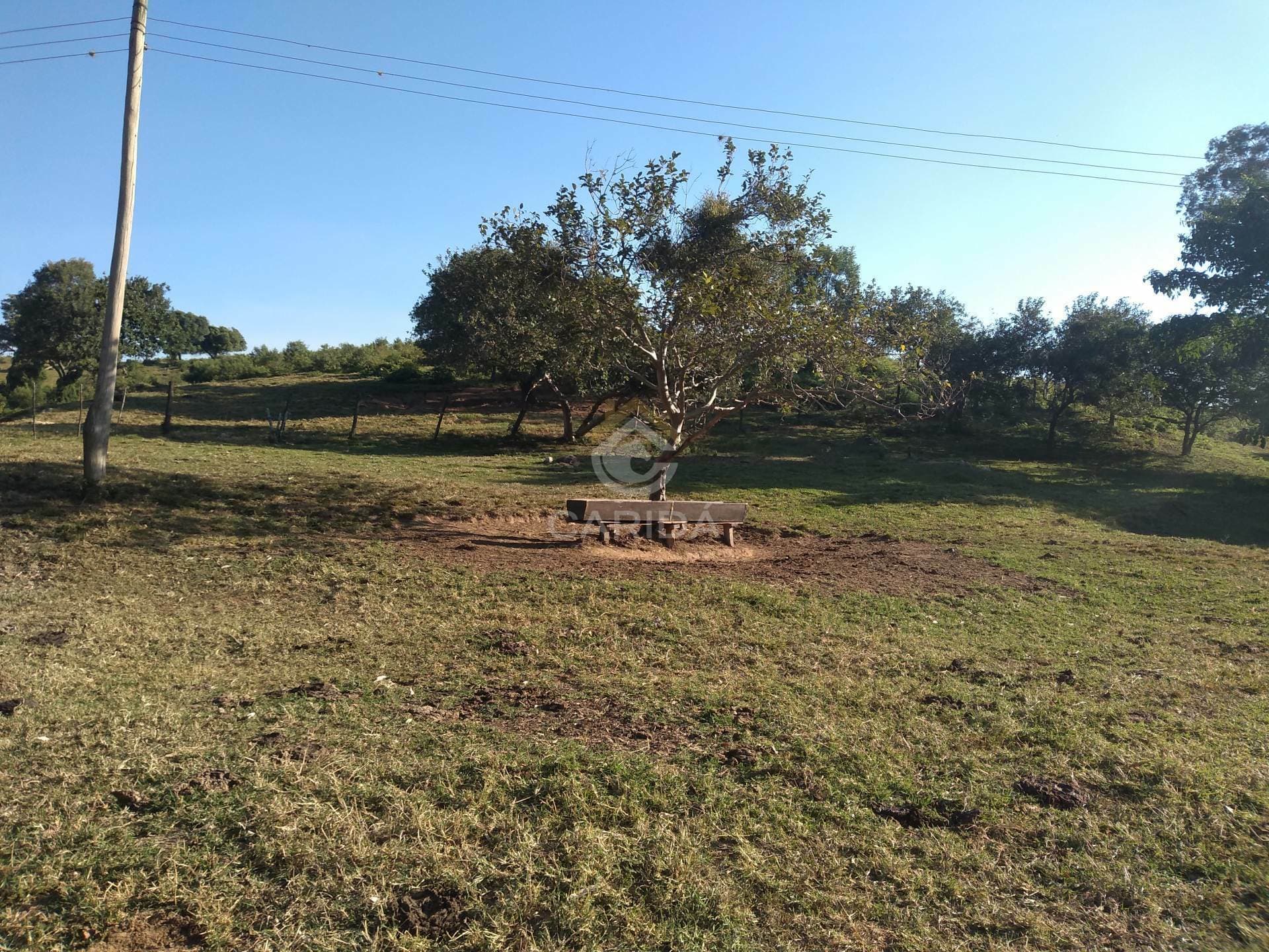 Sitio a venda