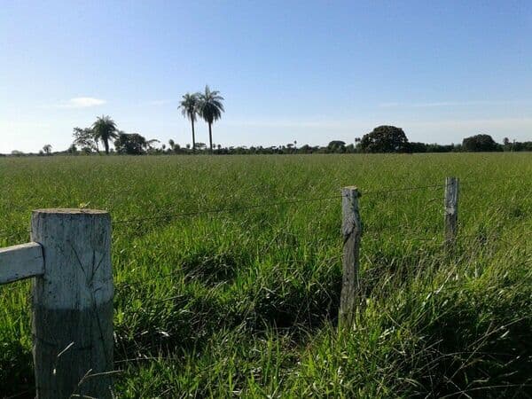 Fazenda à venda em Bonito/MS