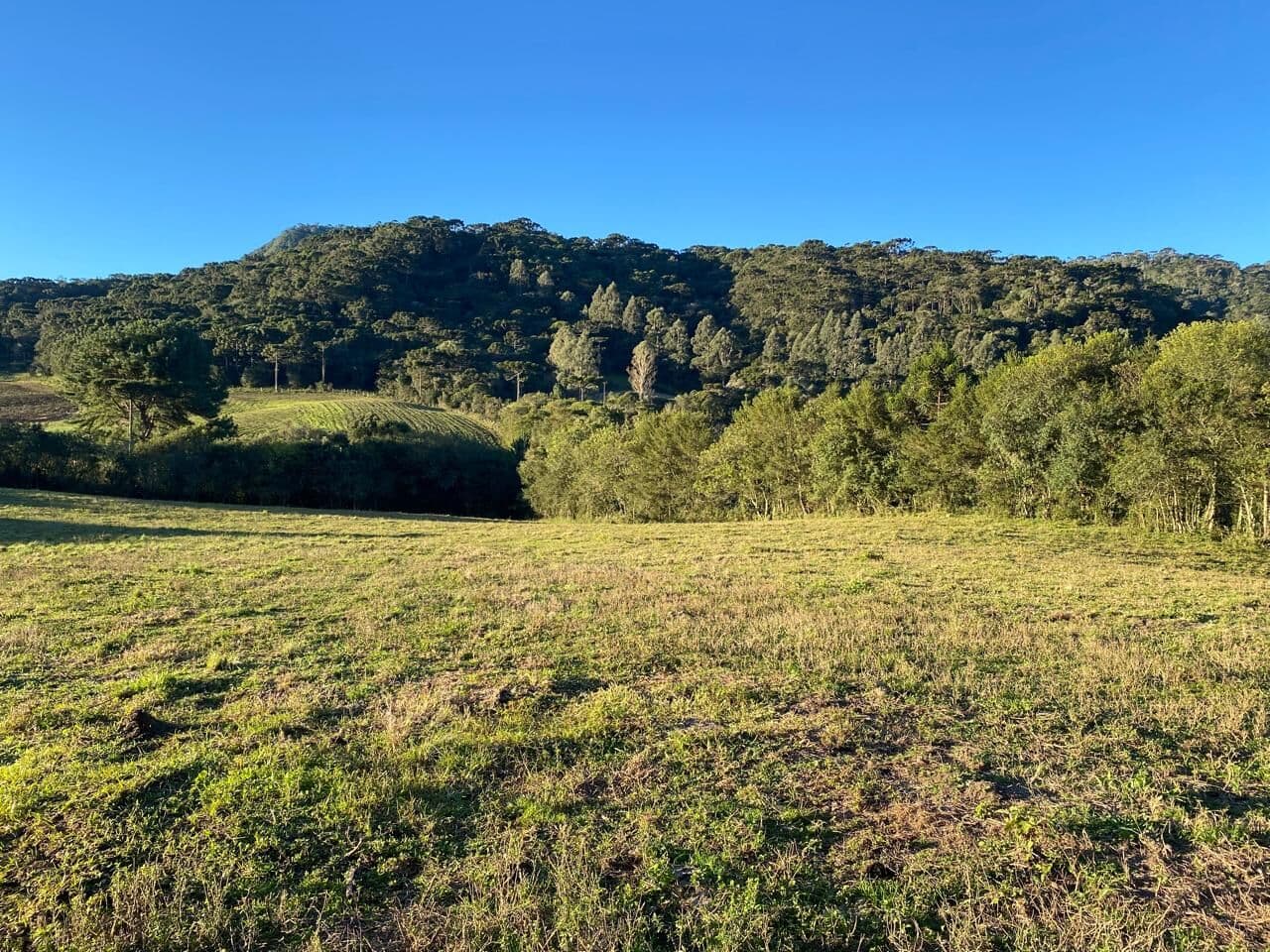 Fazenda/Sítios/Chácaras em Urubici - Urubici