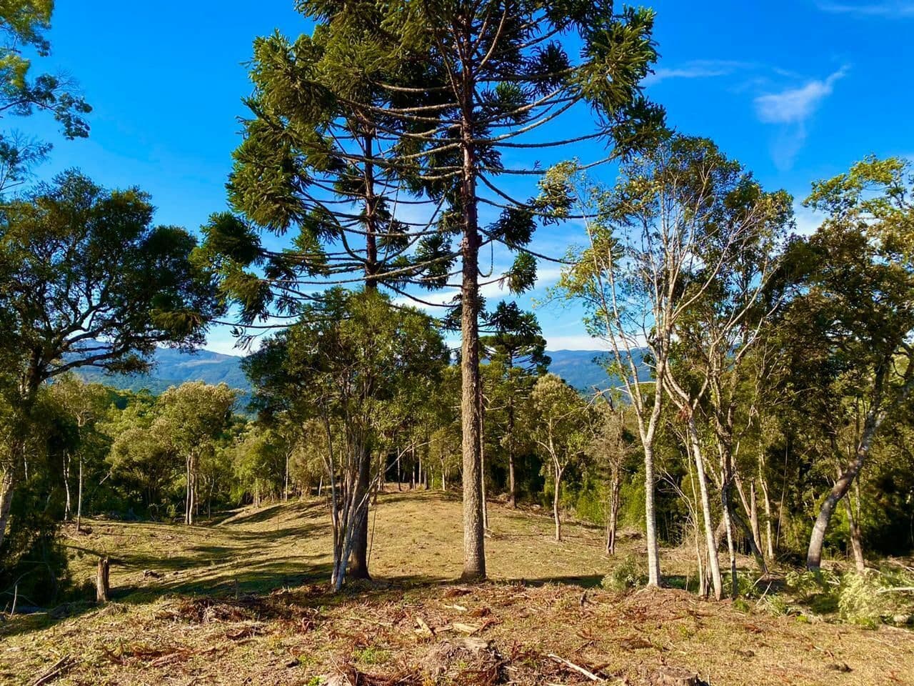 Lote/Terreno em Urubici - Centro