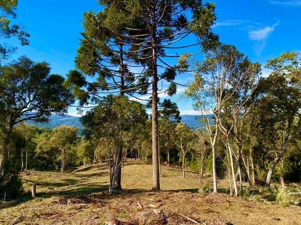 Lote/Terreno em Urubici - Centro