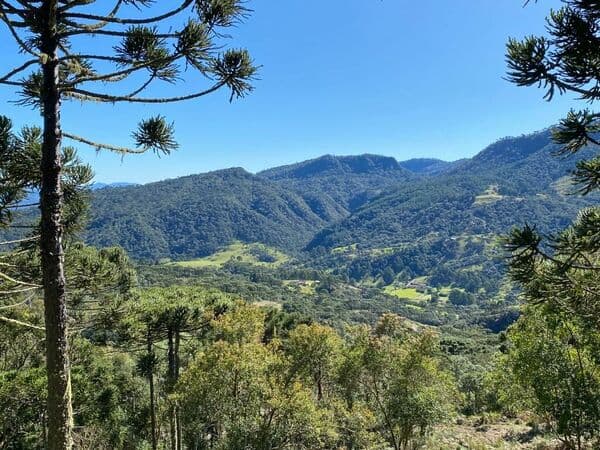 Lote/Terreno em Urubici - Centro