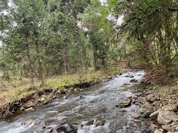 Lote/Terreno em Urubici - Centro