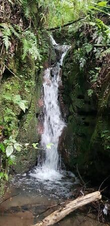 Terreno em Rio Rufino