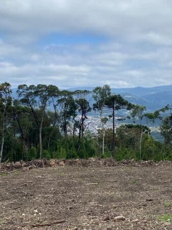 Lote/Terreno em Urubici - Centro