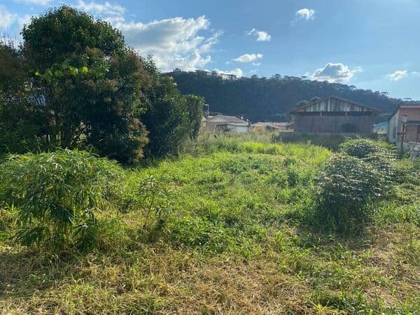 Lote/Terreno em Urubici - Centro