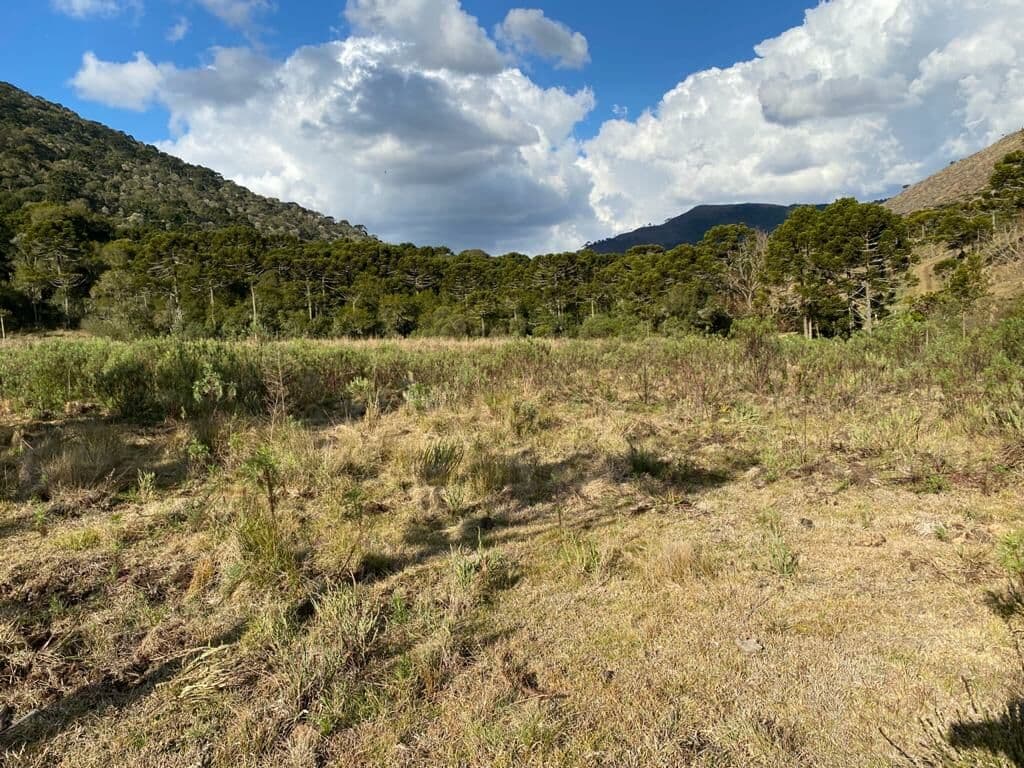 Área de 2 hectares
