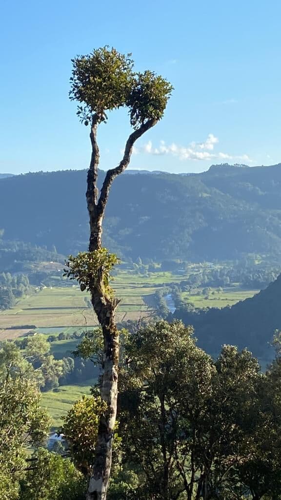 Lote/Terreno em Urubici - Centro
