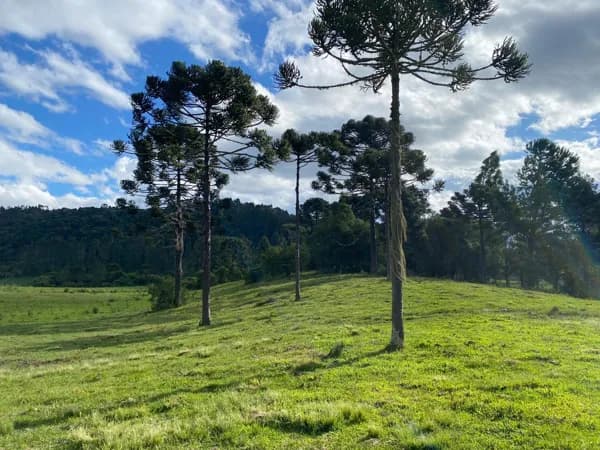 Lote/Terreno em Urubici - Centro