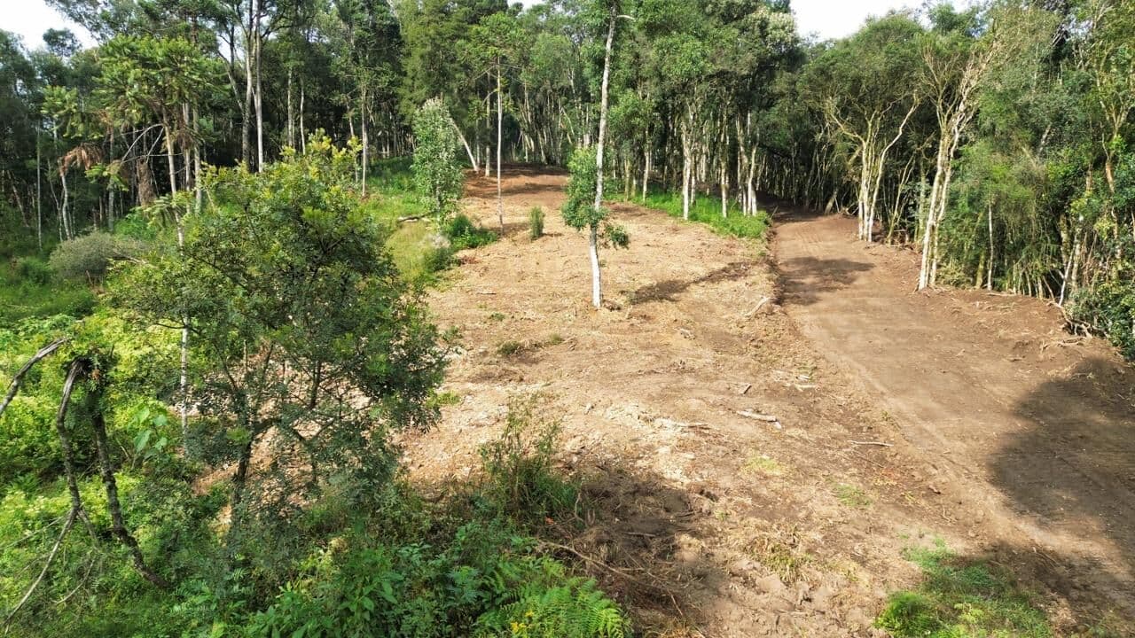 Lote/Terreno em Urubici - Interior