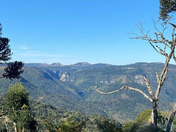Fazenda/Sítios/Chácaras em Urubici - Centro
