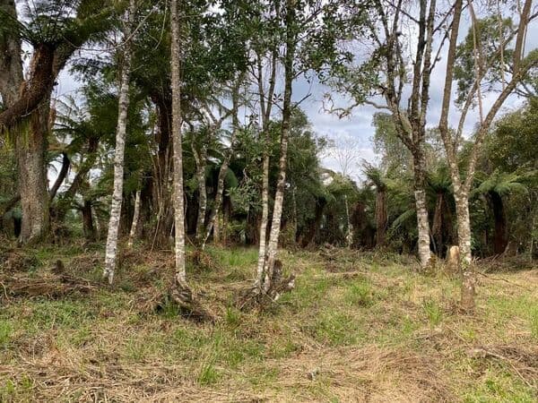 Lote/Terreno em Urubici - Centro