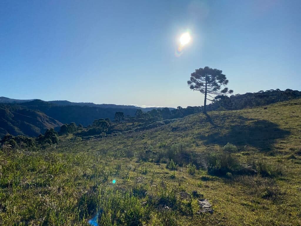Chácara de altitude em Urubici