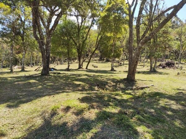 Lote/Terreno em Urubici - Centro