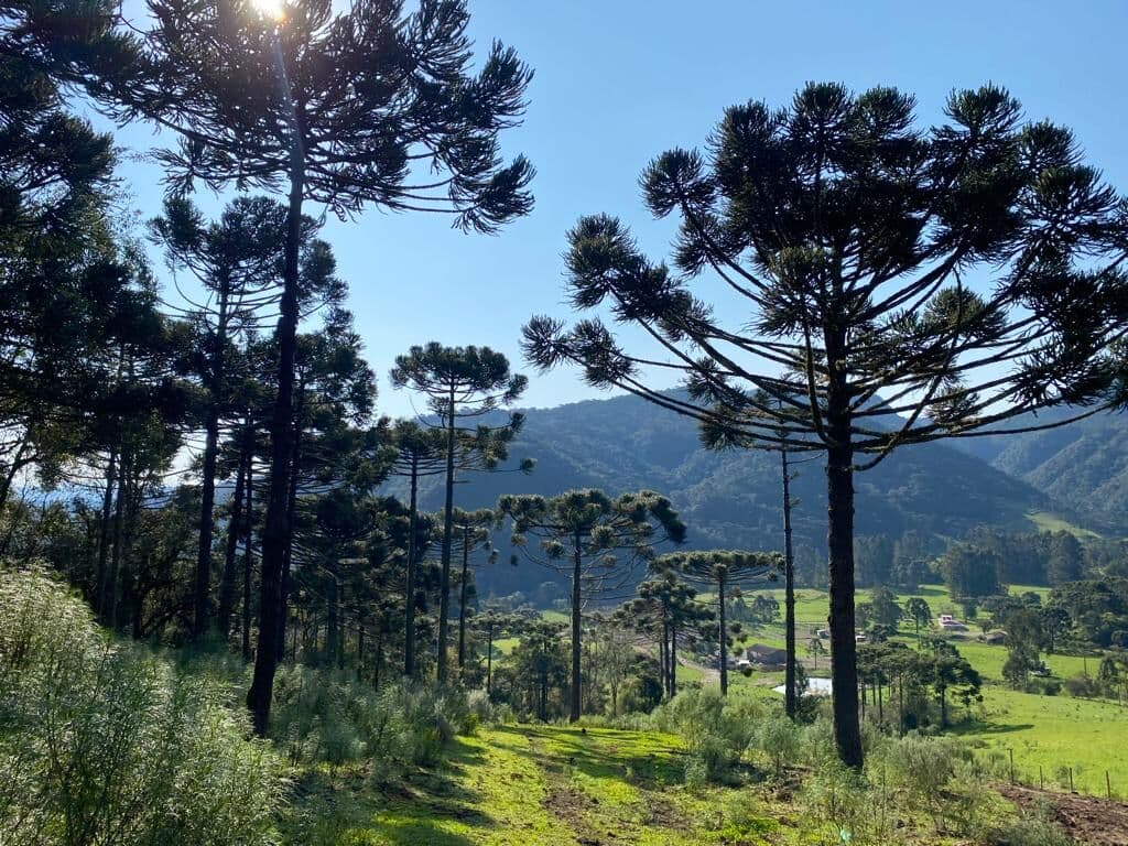 Lote/Terreno em Urubici - Centro