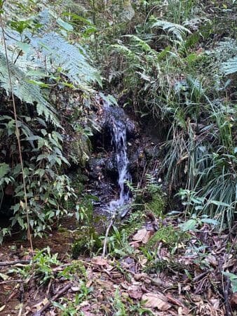 Lote/Terreno em Urubici - Centro