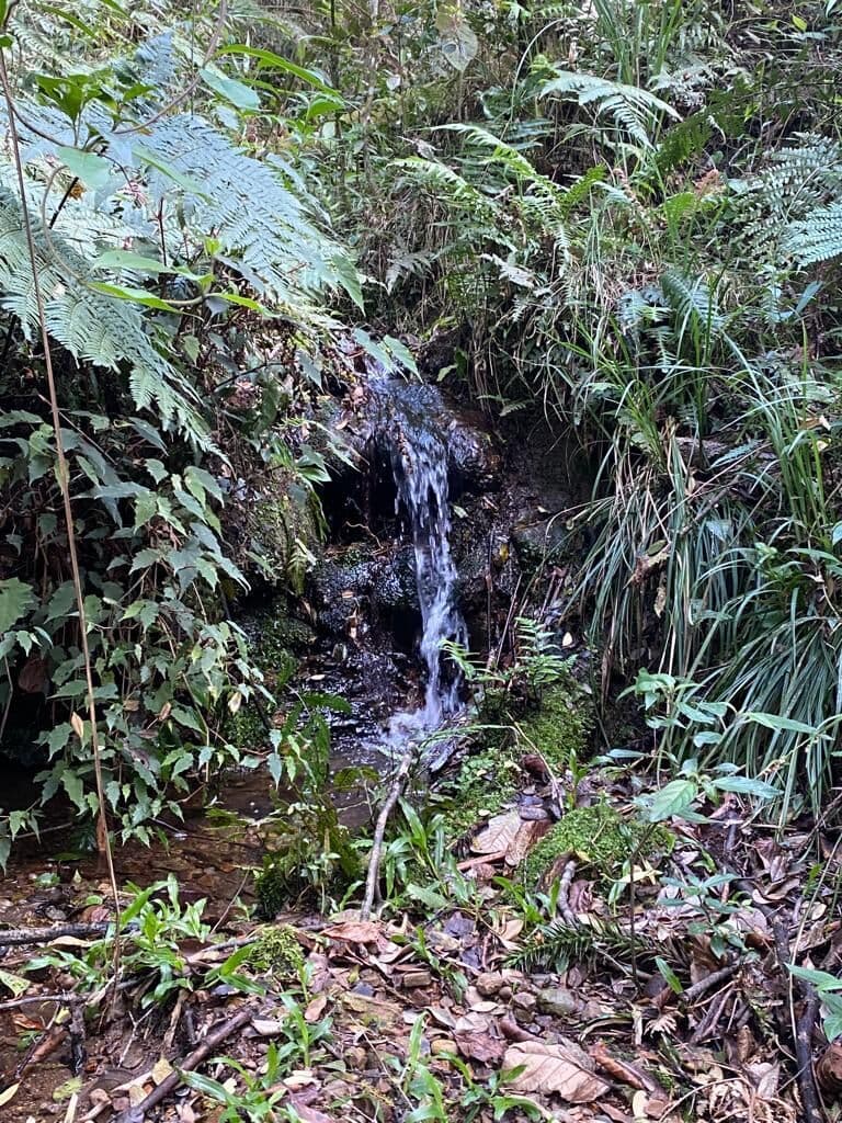 Lote/Terreno em Urubici - Centro