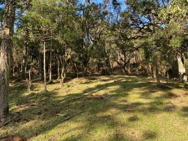 Fazenda/Sítios/Chácaras em Urubici - Centro