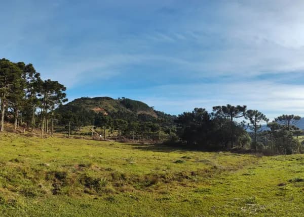 Terreno rural