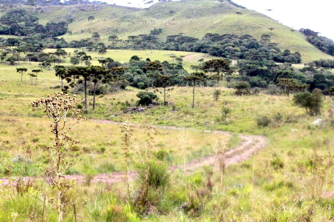 Lote/Terreno em Urubici - Interior