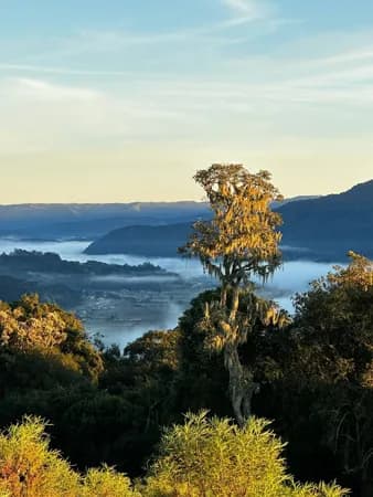 Lote/Terreno em Urubici - Centro