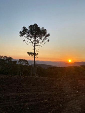 Terreno com uma vista surreal em Urubici