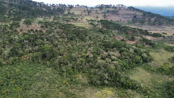 Terreno Urubici