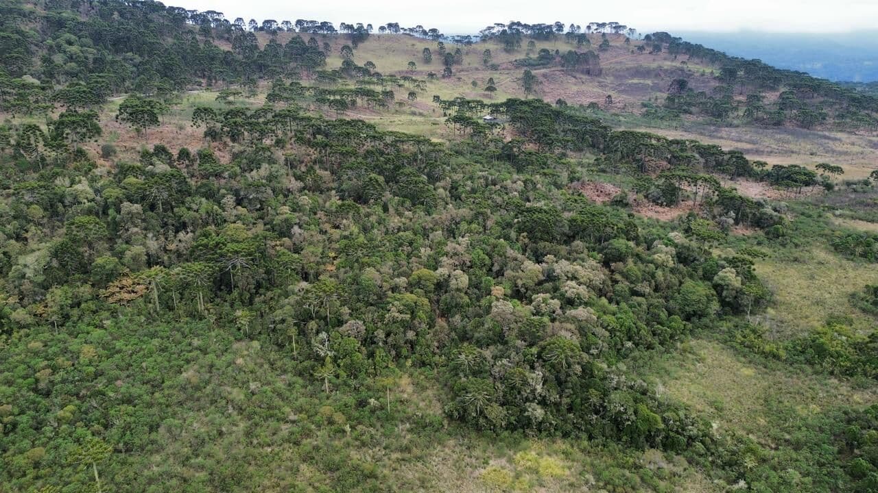 Terreno Urubici