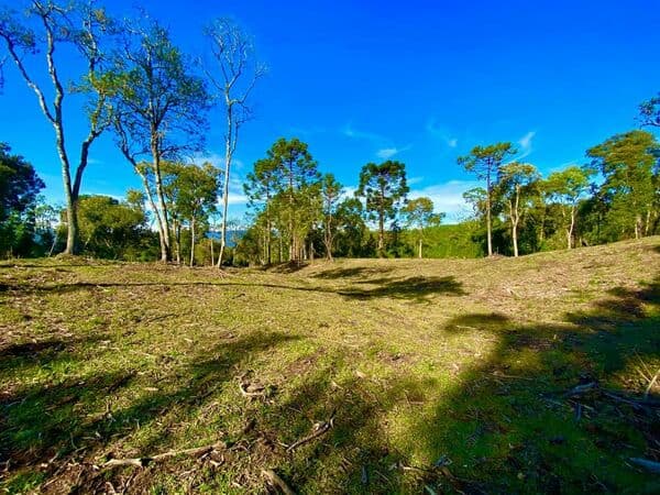 Lote/Terreno em Urubici - Interior