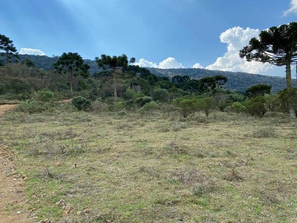 Terreno 2 hectares