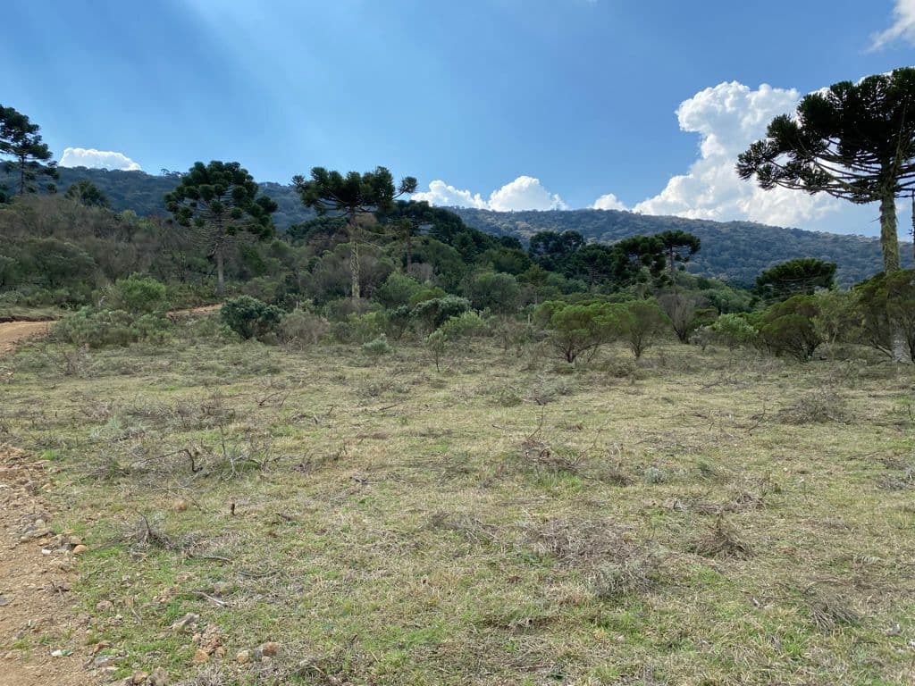 Terreno 2 hectares